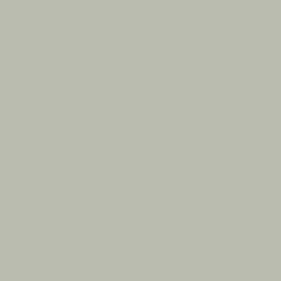 Image for Trespa® Toplab® Plus Align Uni Colours T0340 Silver Grey- Crystal Matt Interior panels