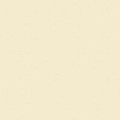 Image for Trespa® Meteon® Uni Colours A0400 Cream White- Satin Exterior panels / cladding