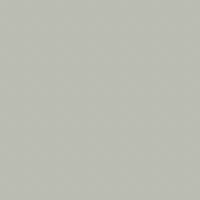 Bild für Trespa® Toplab® Base Uni Colours E0-02 Silver Grey- Crystal Matt Interior panels
