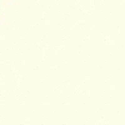 Bild für Trespa® Toplab® Vertical Uni Colours K0300 White- Satin Interior panels