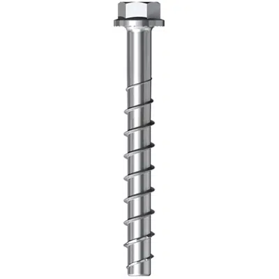 Immagine per Concrete screw FBS II