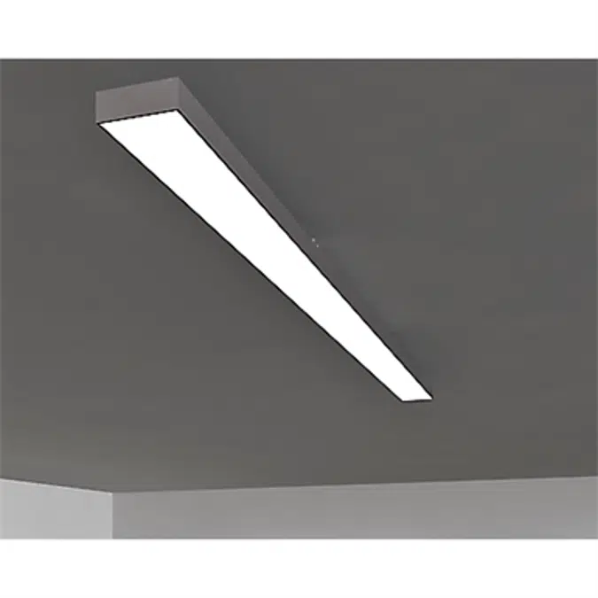 Ceiling lights Pline module isolated