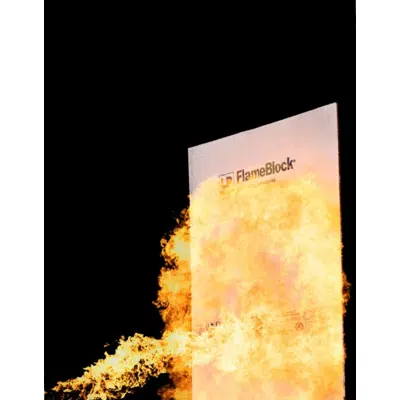 Зображення для LP® FlameBlock® Fire-Rated Sheathing