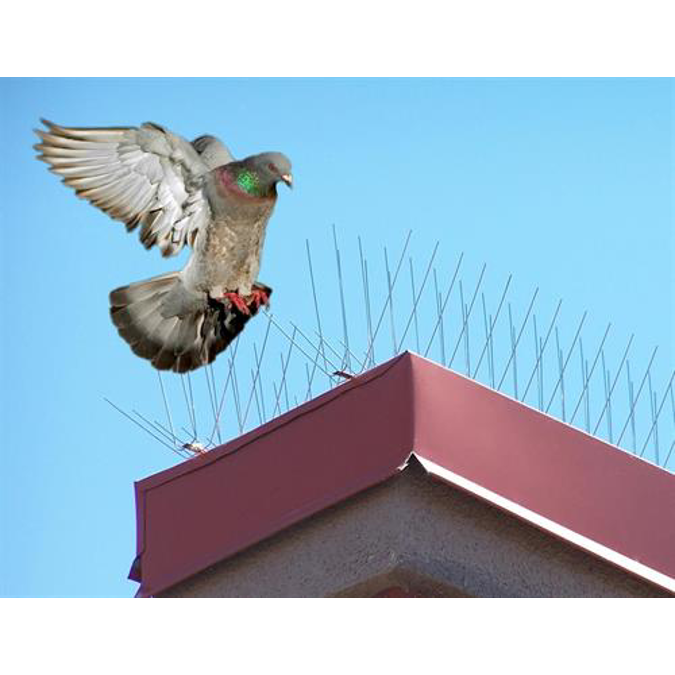 Nixalite® E-Spike All Stainless Steel Bird Spikes - E-Spike Half Row