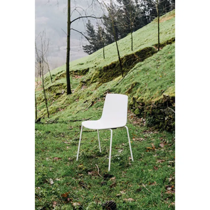 Lottus Chair