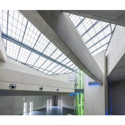 Immagine per Skyroofs® - Custom 4" Kalwall 100 Supported Skyroofs