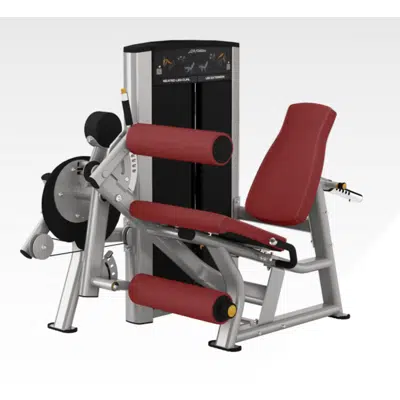 Image for Axiom Series Seated Leg Curl / Extension