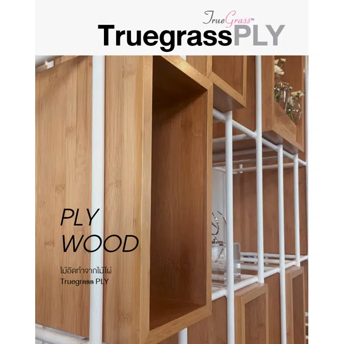 Ngern-Ma Plywood Truegrass