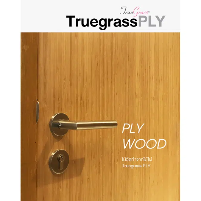 Ngern-Ma Plywood Truegrass