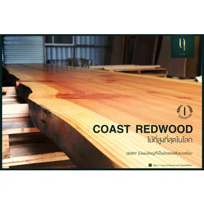 imagem para Ngern-Ma Natural Wood Slabs Coast Redwood Quest