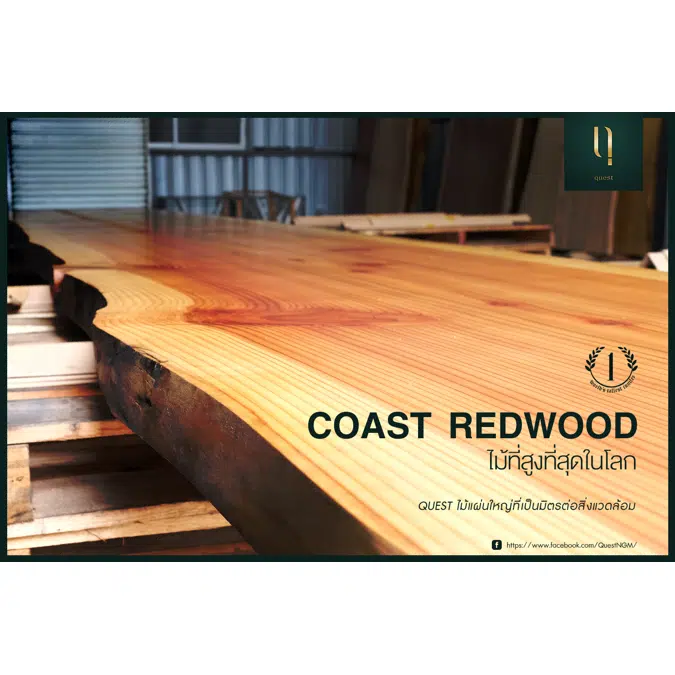 Ngern-Ma Natural Wood Slabs Coast Redwood Quest