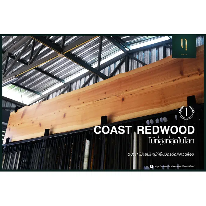 Ngern-Ma Natural Wood Slabs Coast Redwood Quest