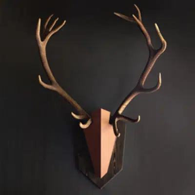 Ngern-Ma Wall Decorate Naturally Shed Deer Antler Quest图像