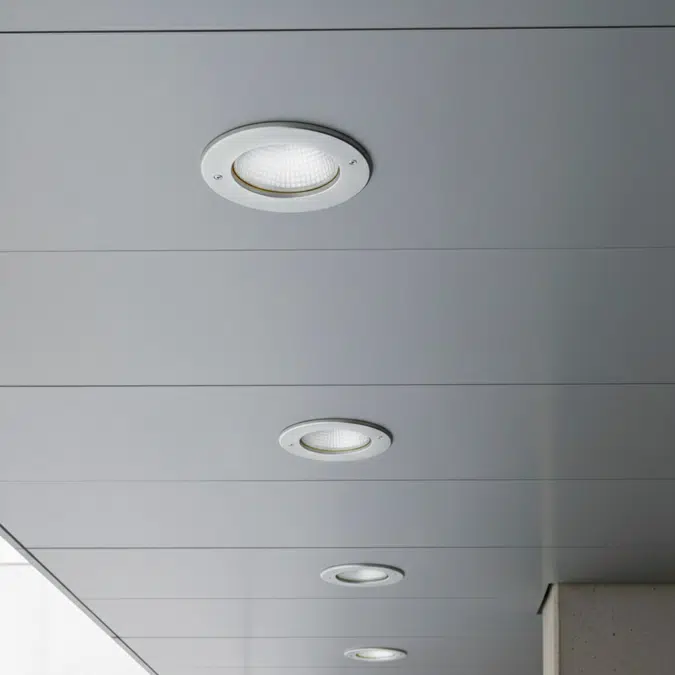 Vandal-Resistant Exterior LED Can Light