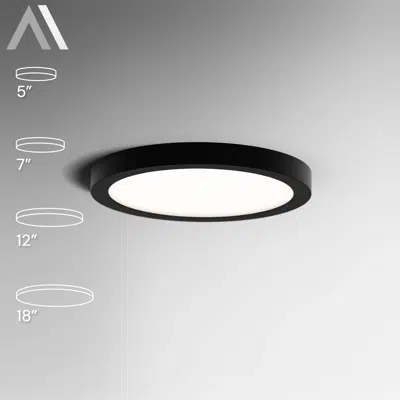Immagine per Architectural Surface-Mount LED Disk Light