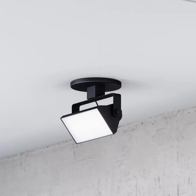 Architectural LED Wall Wash Monopoint Light