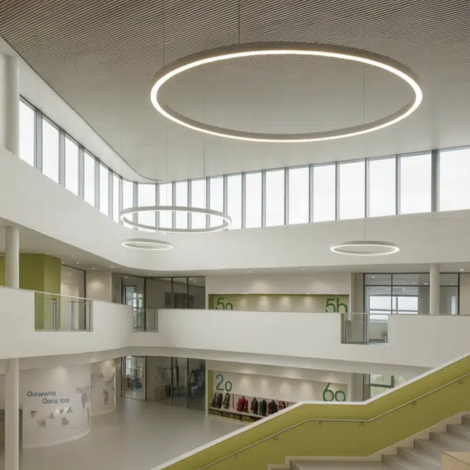 Slim LED Ring Pendant Chandelier Uplight/Downlight