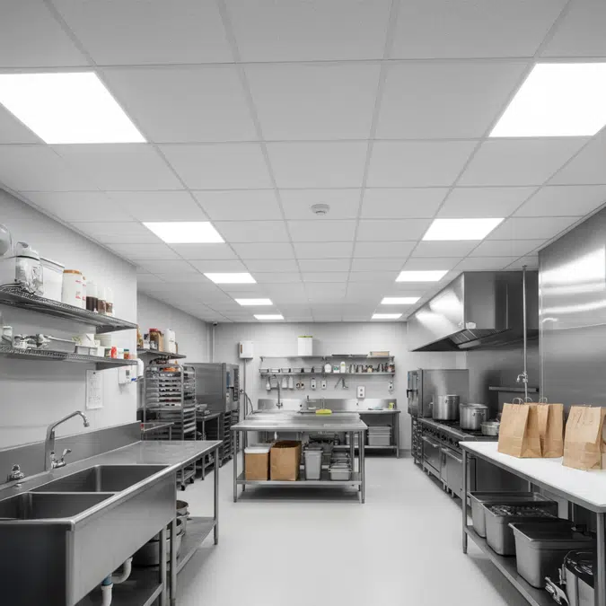 Wet Location Clean Room LED Troffer Light