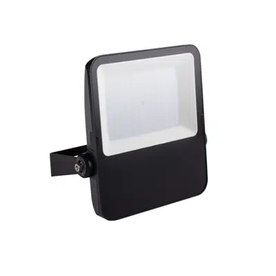 FL AGOR LED 100W NW图像
