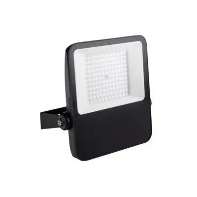 Image for FL AGOR/A LED 100W NW