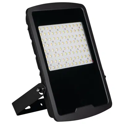 Image for FL AGOR HI 300W NW floodlight