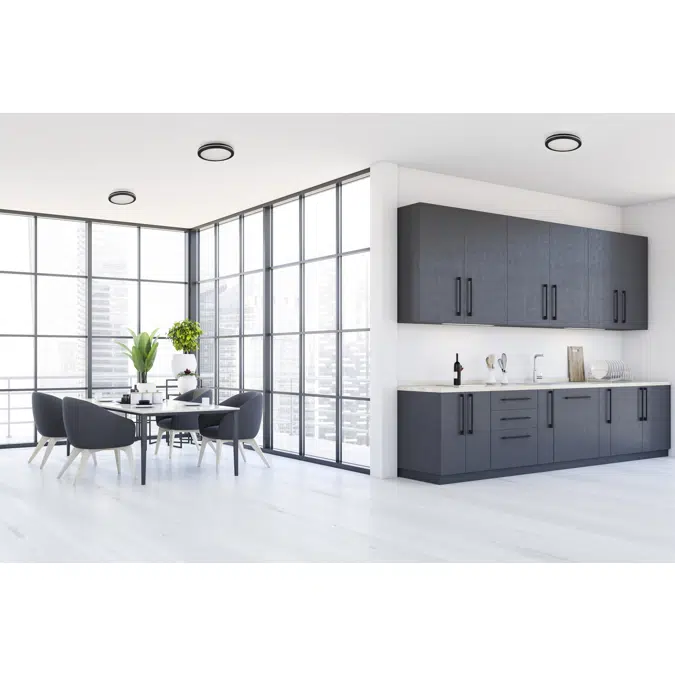 BENO ECO 12W CCT O W