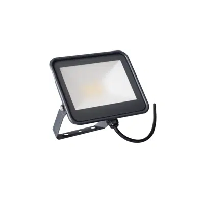 Image for IQ-LED FL-20W-NW floodlight