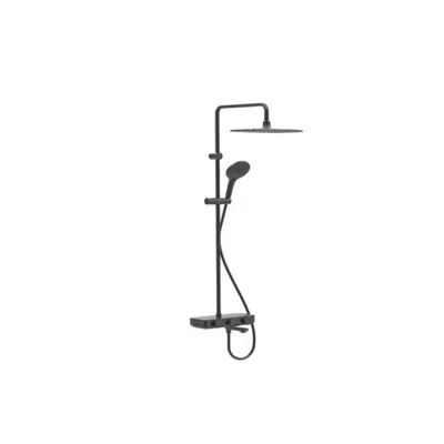 obraz dla Sanitary Showers American Standard FFAS4956-601A00BF0