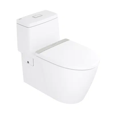 Image for American Standard One-piece Toilet Acacia E Vortex OP 2.6/4L CBR CP. set WT