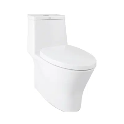 Image pour Sanitary Toilets American Standard CHF01000-1CACTDG01