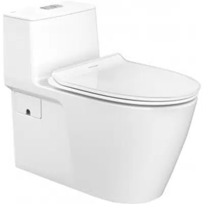 画像 Sanitary Toilets American Standard CL20075-6DACTCBN
