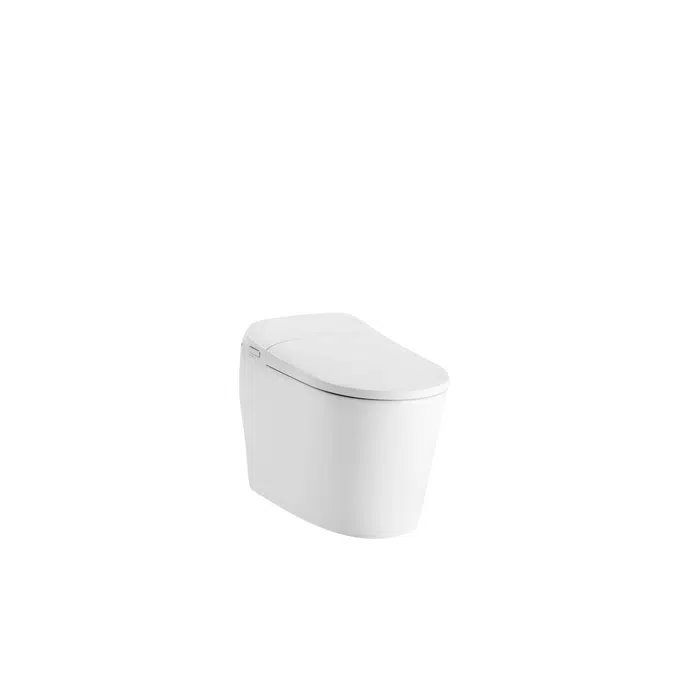 American Standard E-lite Shower Toilet (Auto Open, Plug O) CEAS70DY-1000400T0