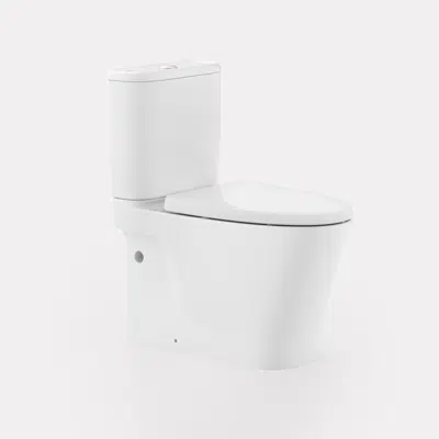 imazhi i American Standard Loven CCBTW Bowl Back Inlet, ANZ
