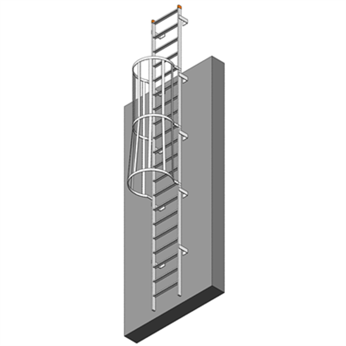 BIM objects - Free download! Tubular Aluminum Fixed Ladder w/ Cage ...