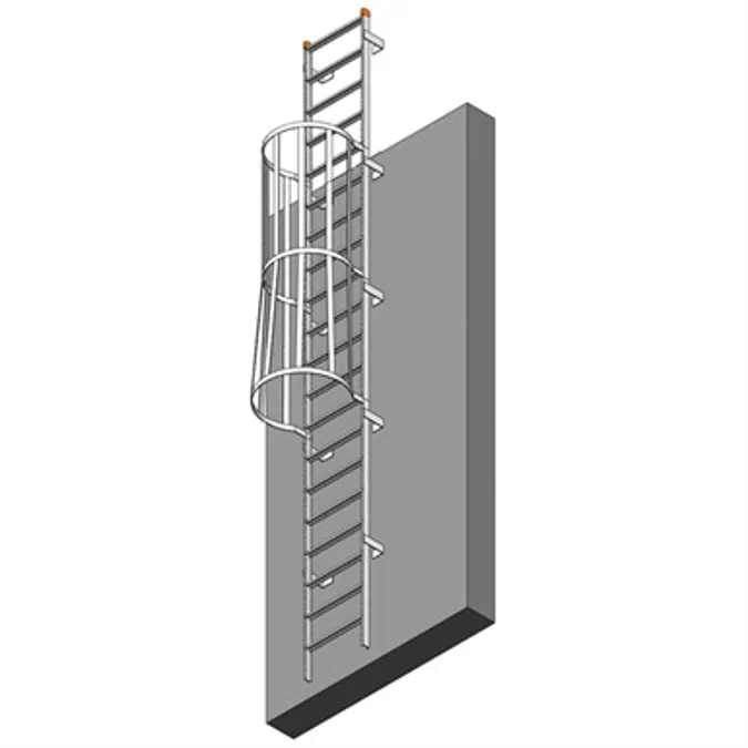 Bim Objects - Free Download! Fixed Aluminum Ladder W  Cage & Overshoot 