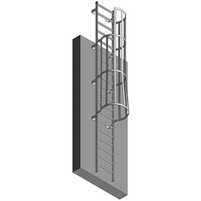 BIM objects - Free download! Fixed Aluminum Ladder w/ Cage & Overshoot ...