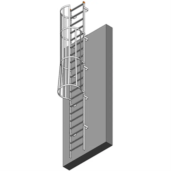 BIM objects - Free download! Fixed Aluminum Ladder w/ Cage & Overshoot ...