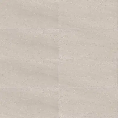 imagen para Porcelatech® Rec Magno Ard Pro Gris Cd