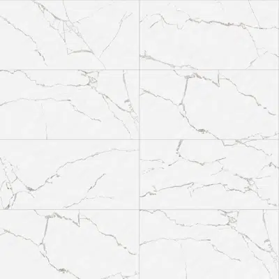 bild för Pared Cienaga Arena Mt