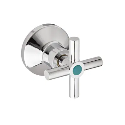 Immagine per Registro Grival ducha paso de bola cruceta