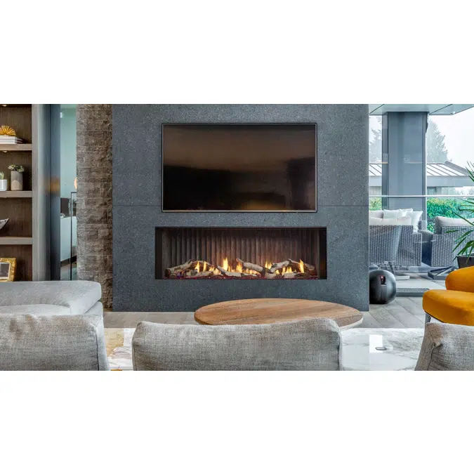 Primo II Single-Sided Indoor Gas Fireplace