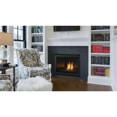 imagen para 6000 Modern Single-Sided Indoor Gas Fireplace
