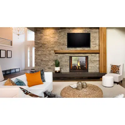 imagem para Escape See-Through Multi-Sided Gas Fireplace