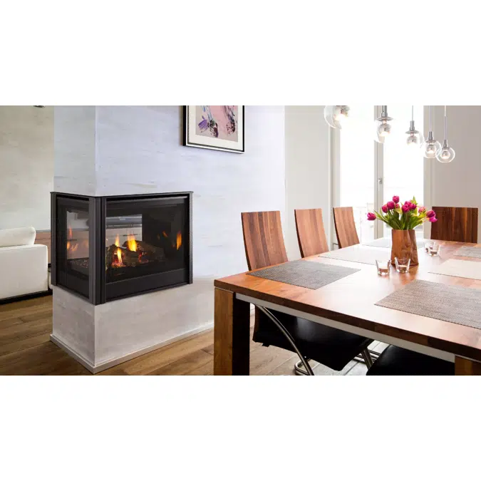 Pier 36 Multi-Sided Gas Fireplace