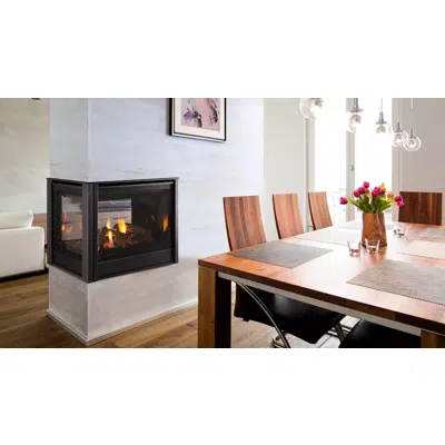 Image for Pier 36 Multi-Sided Gas Fireplace