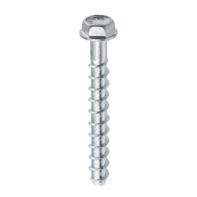 Image for WDBLS - Concrete screw with hex washer head