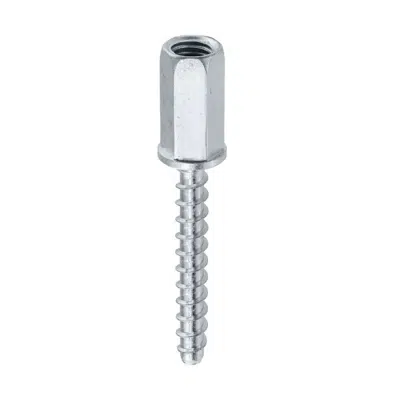 Image for WDBGW - Concrete screw with internal metric thread