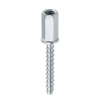 изображение для WDBGW - Concrete screw with internal metric thread