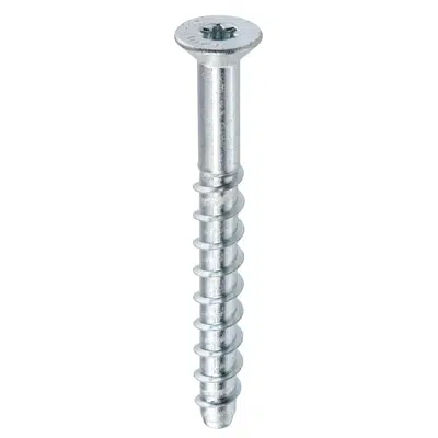 画像 WDBLP - Concrete screw with countersunk head