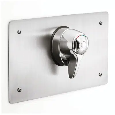 Image for Armitage Shanks CTV thermostatic shower mixing valve
